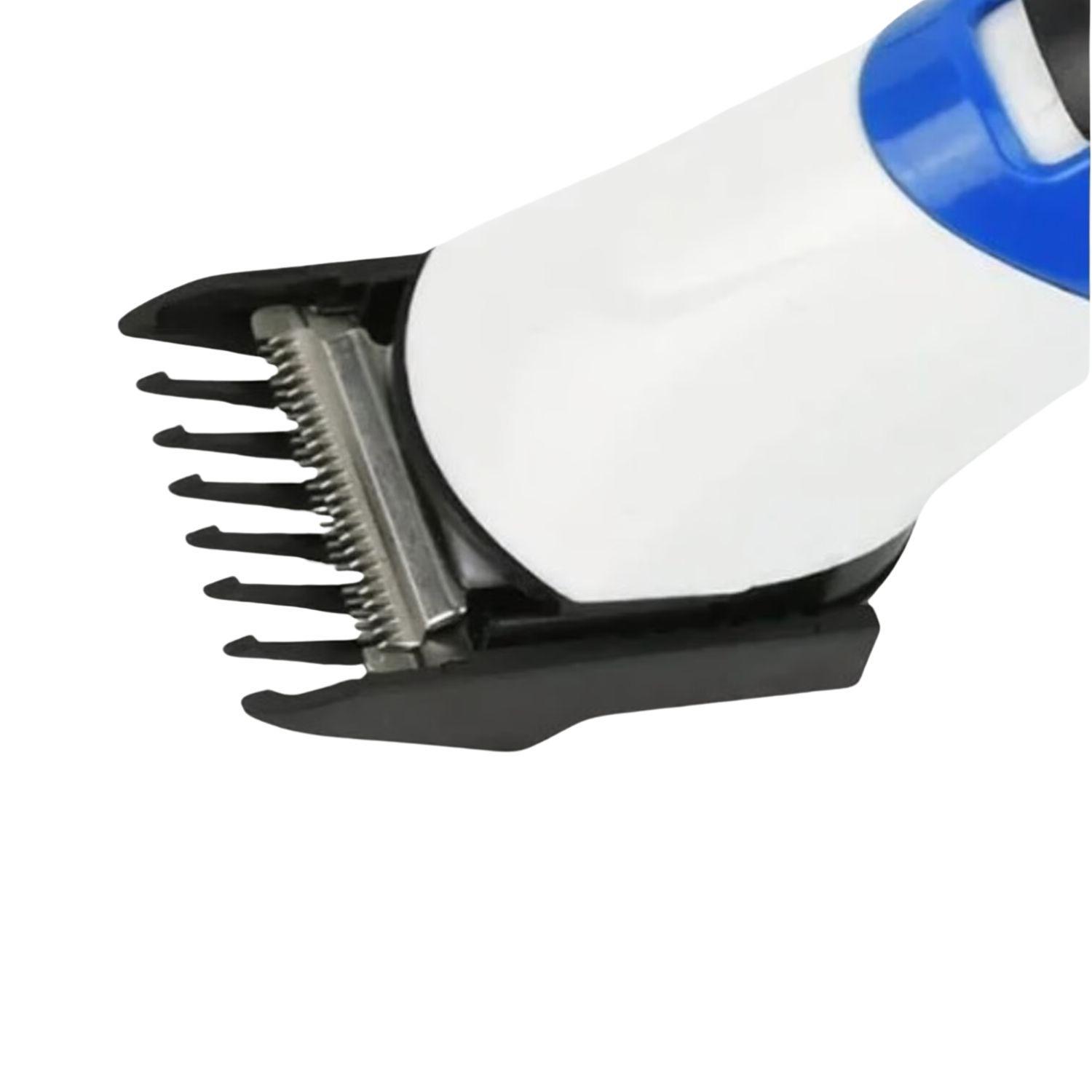 Freidora Modelo Tc-866 15cm Color Azul Alta Calidad-2
