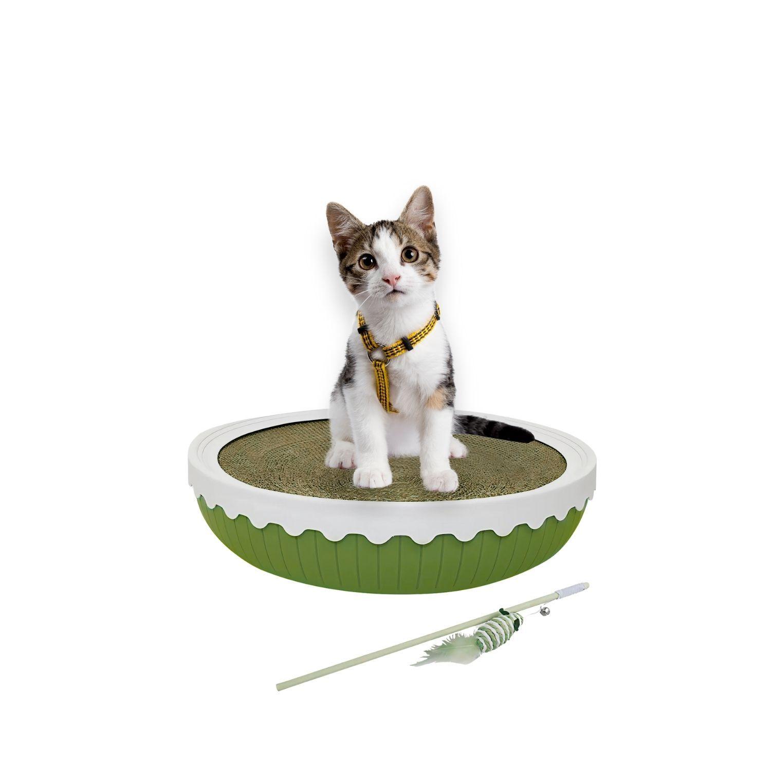 Rascador Cama Con Juguete Para Gatos Mascotas Color Verde-2