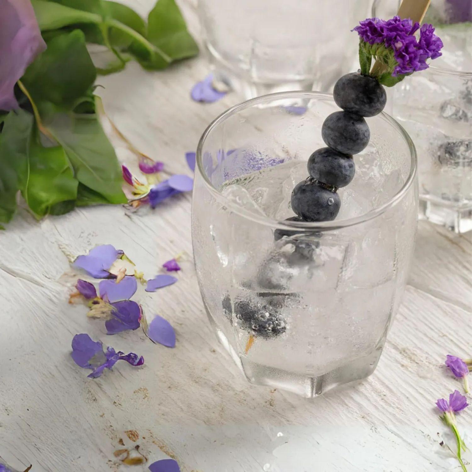 Set 48 Vasos Amadeus Rocks Bajos 353mL Menaje Cocina Cristar-1