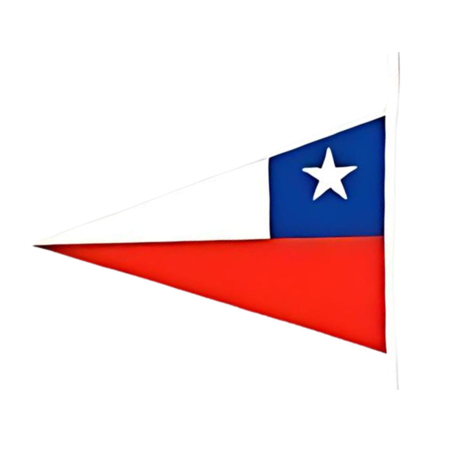 Guirnalda Banderines Triangulares Chile Fiestas Patrias 4m-2