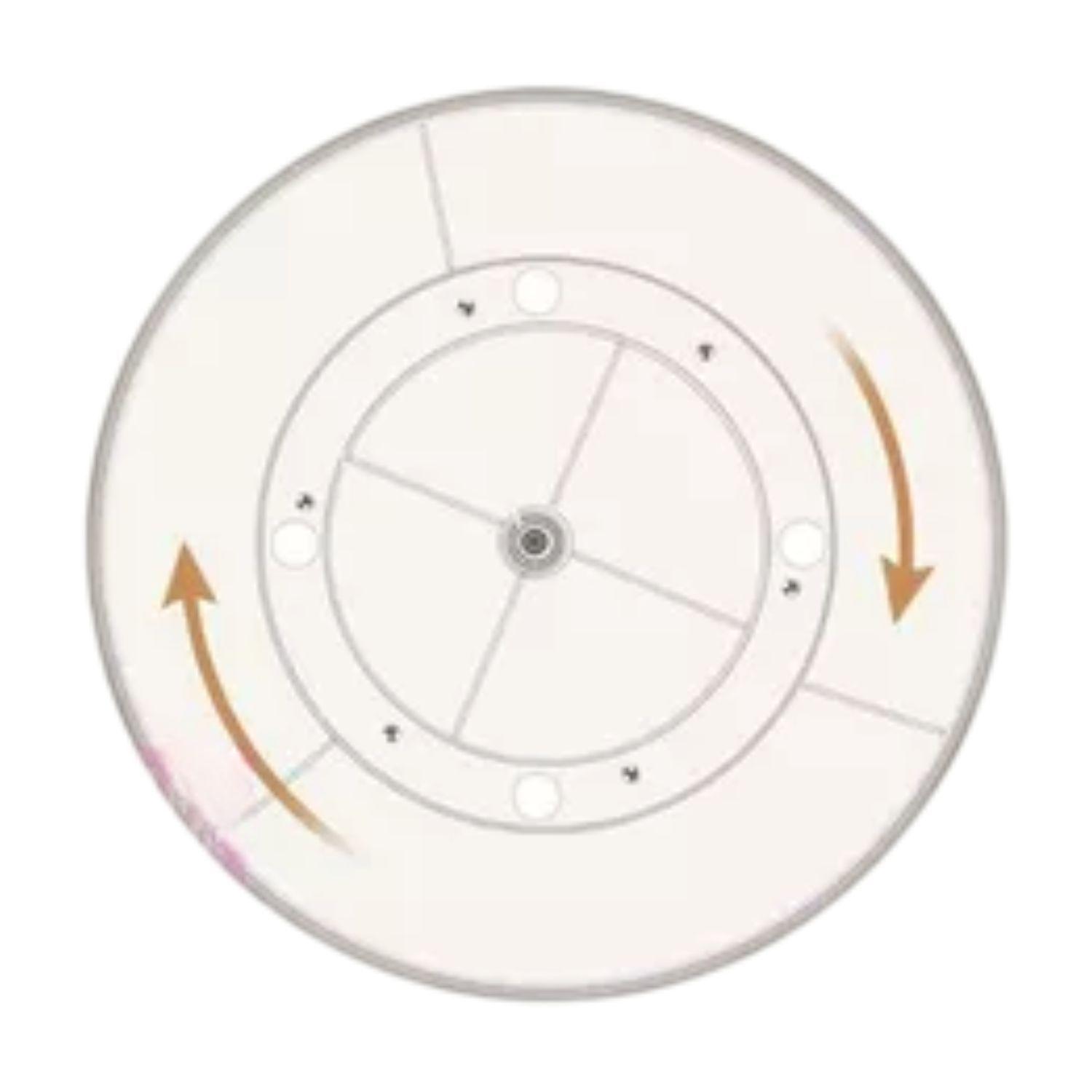 Organizador Maquillajes 360 Grados Un Nivel 24cm Coquette-2