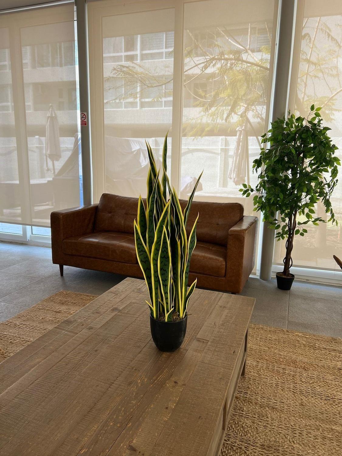 Planta Artificial Lengua De Suegra Sansevieria 60 Cm/18 Hjs Verde Claro-2