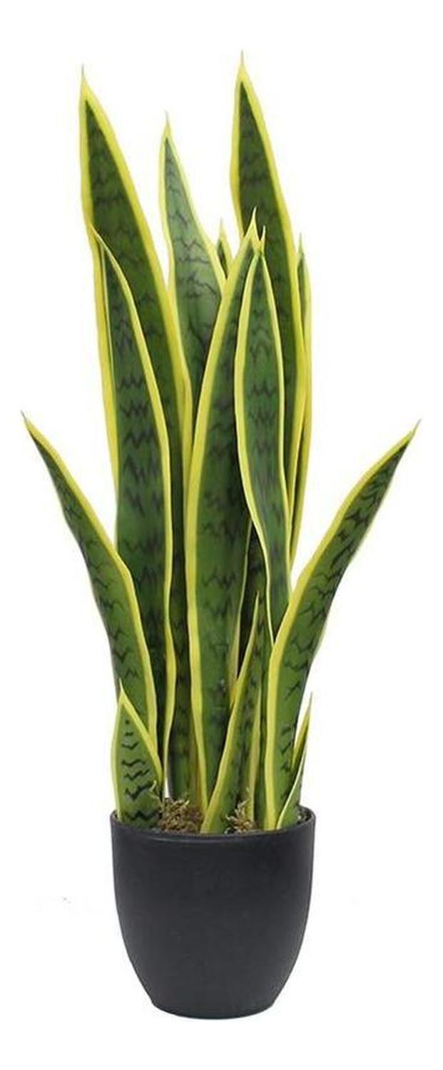 Planta Artificial Lengua De Suegra Sansevieria 60 Cm/18 Hjs Verde Claro-5