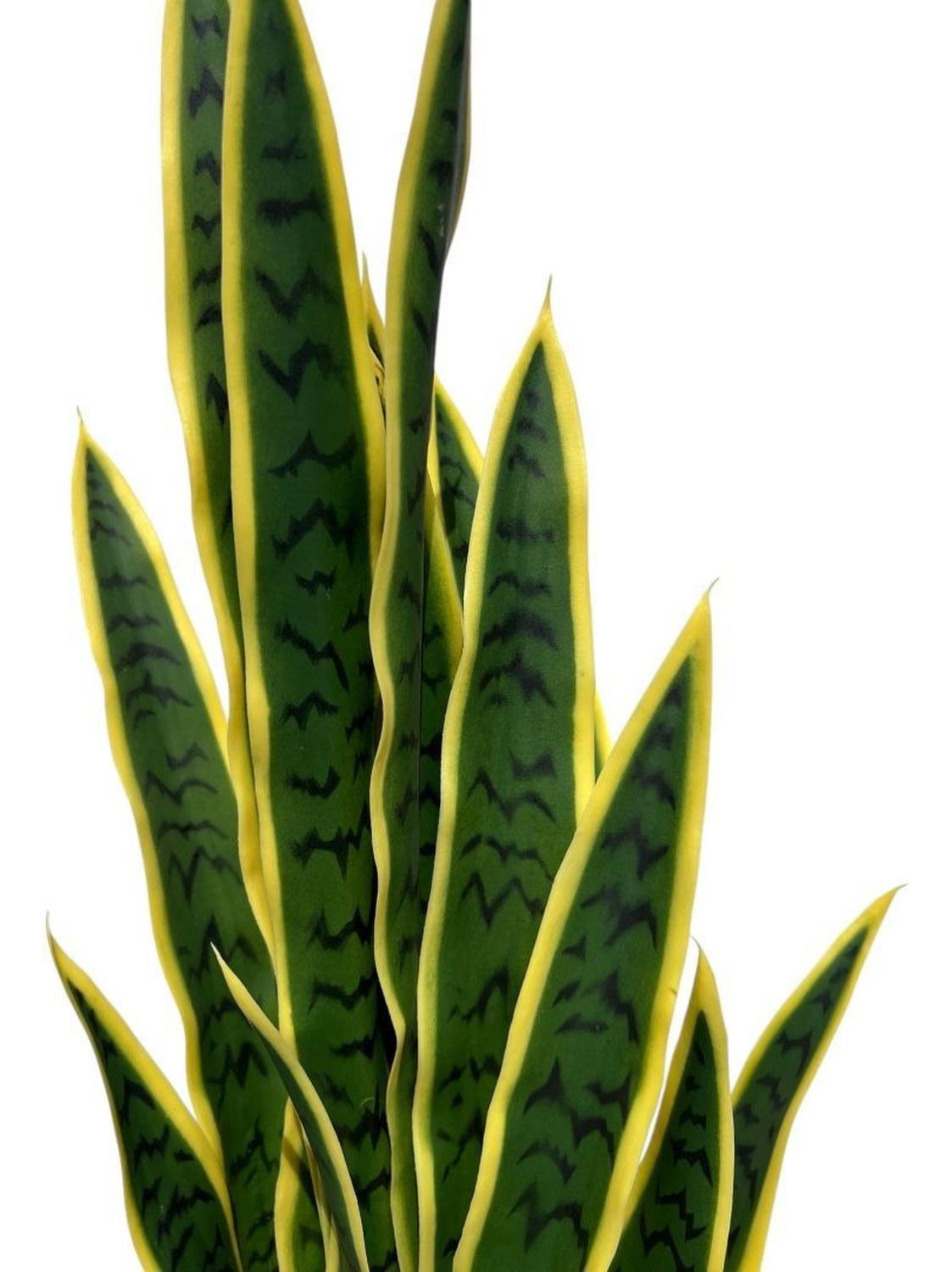 Planta Artificial Lengua De Suegra Sansevieria 60 Cm/18 Hjs Verde Claro-7