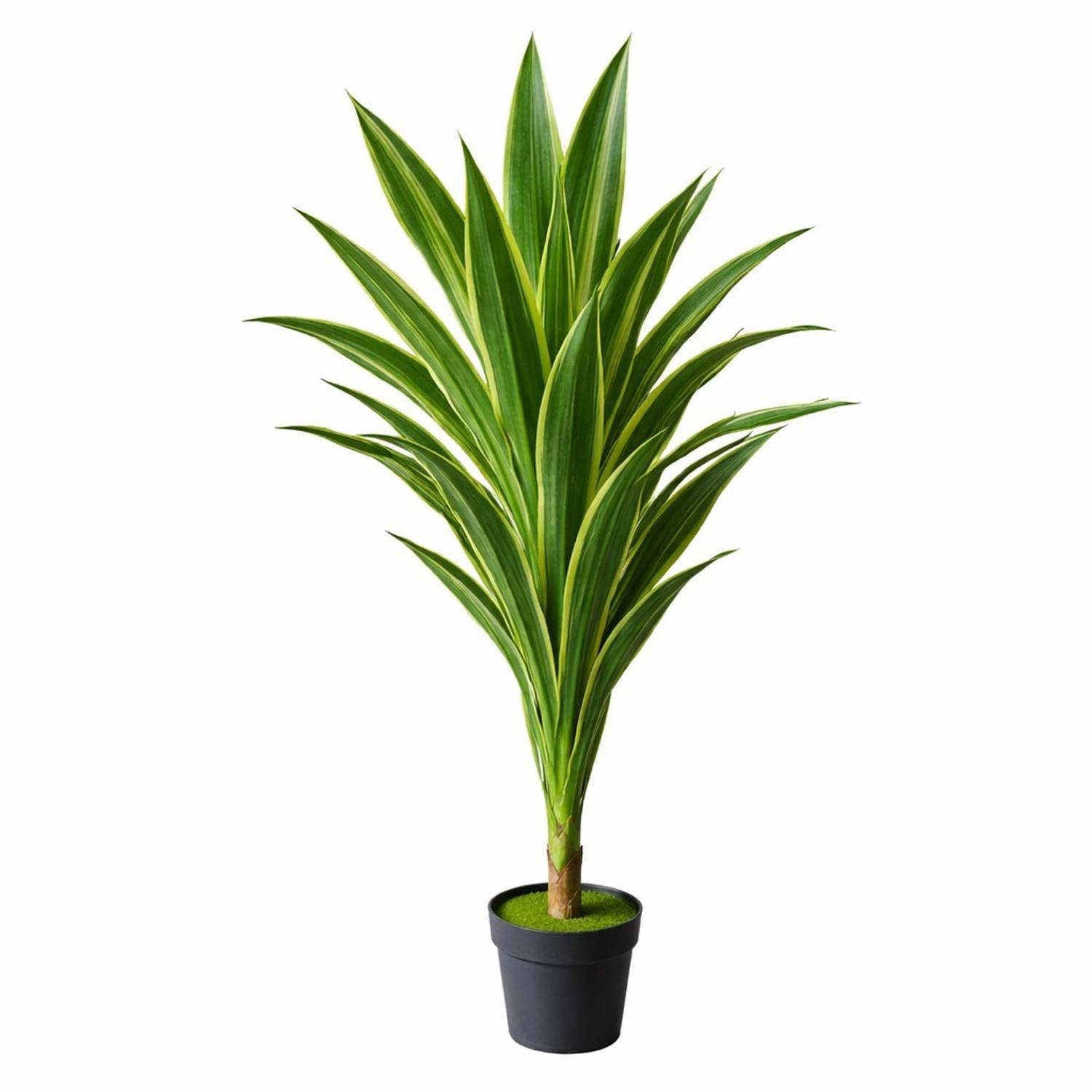 Planta Artificial Drácena 160cm Hojas Realistas Interior-3