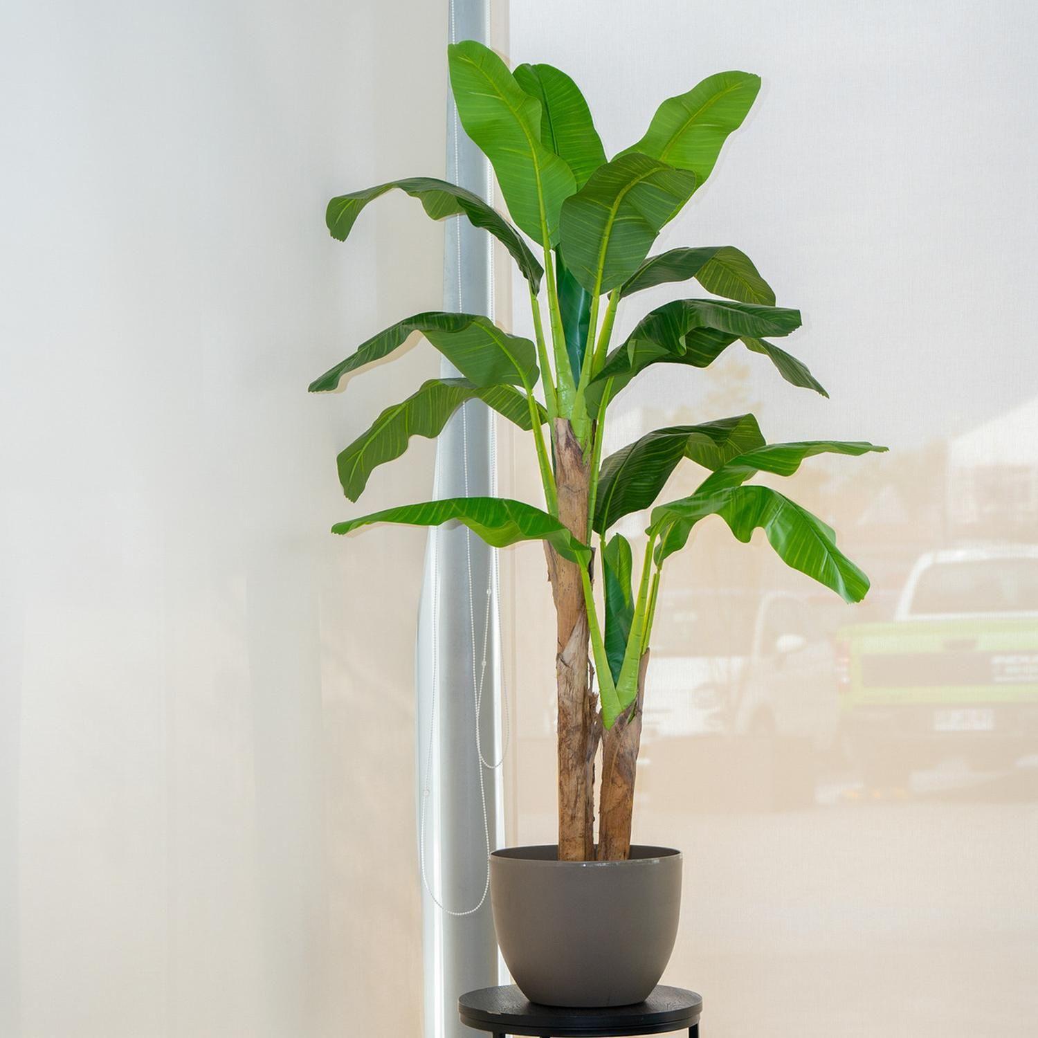 Planta Artificial Decorativa Arbol Grande Pack Banano 180cm Verde-3