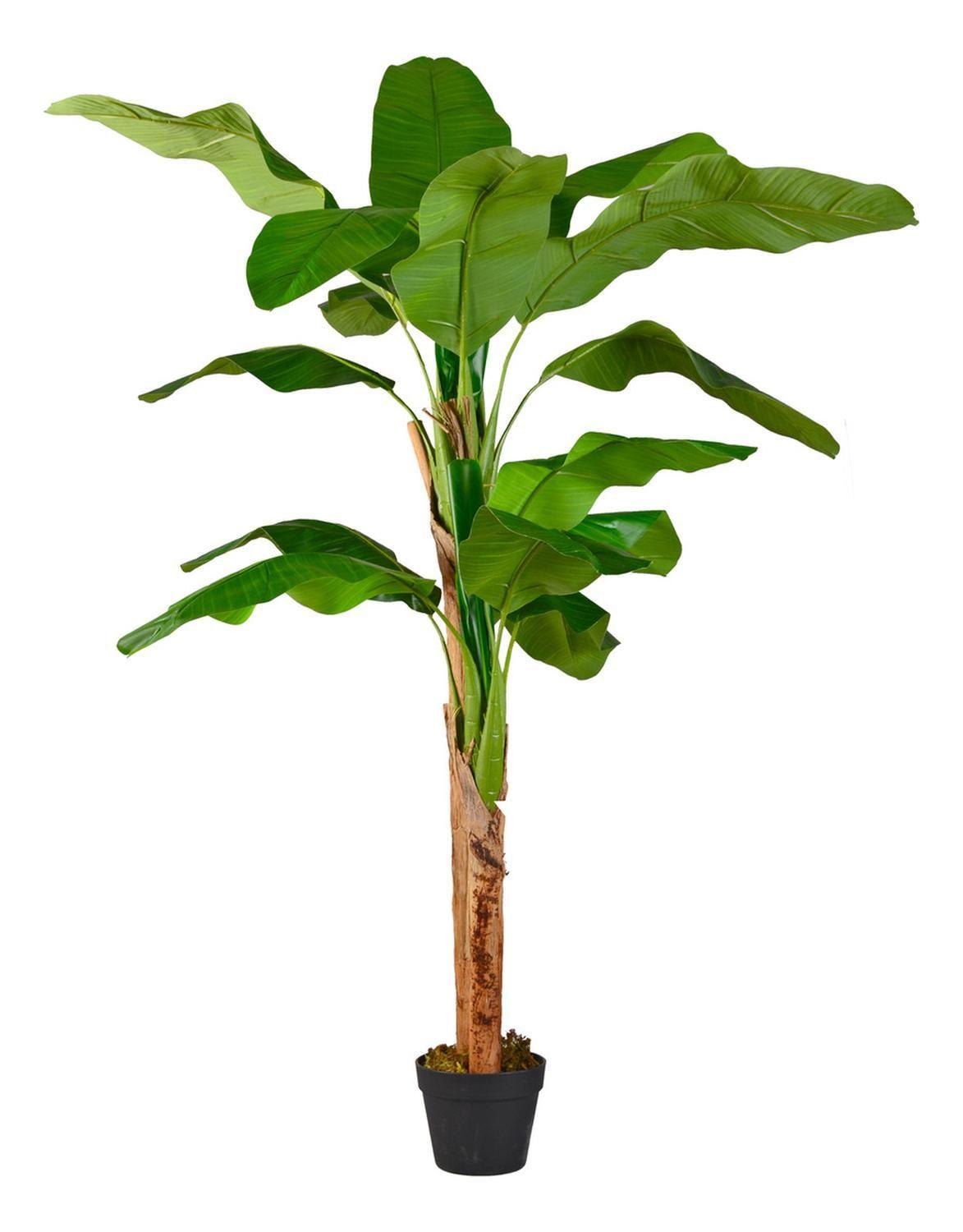 Planta Artificial Banano 160 Cm Luxury 15 Hjs / Arbusto Real Verde-3