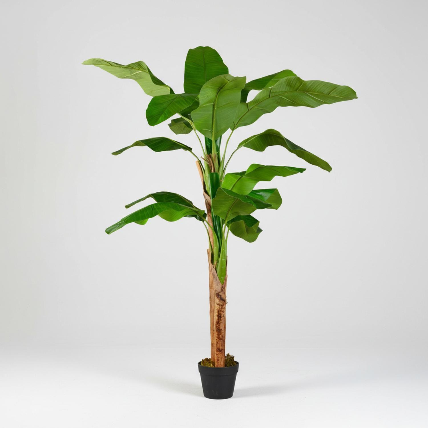 Planta Artificial Banano 160 Cm Luxury 15 Hjs / Arbusto Real Verde-8