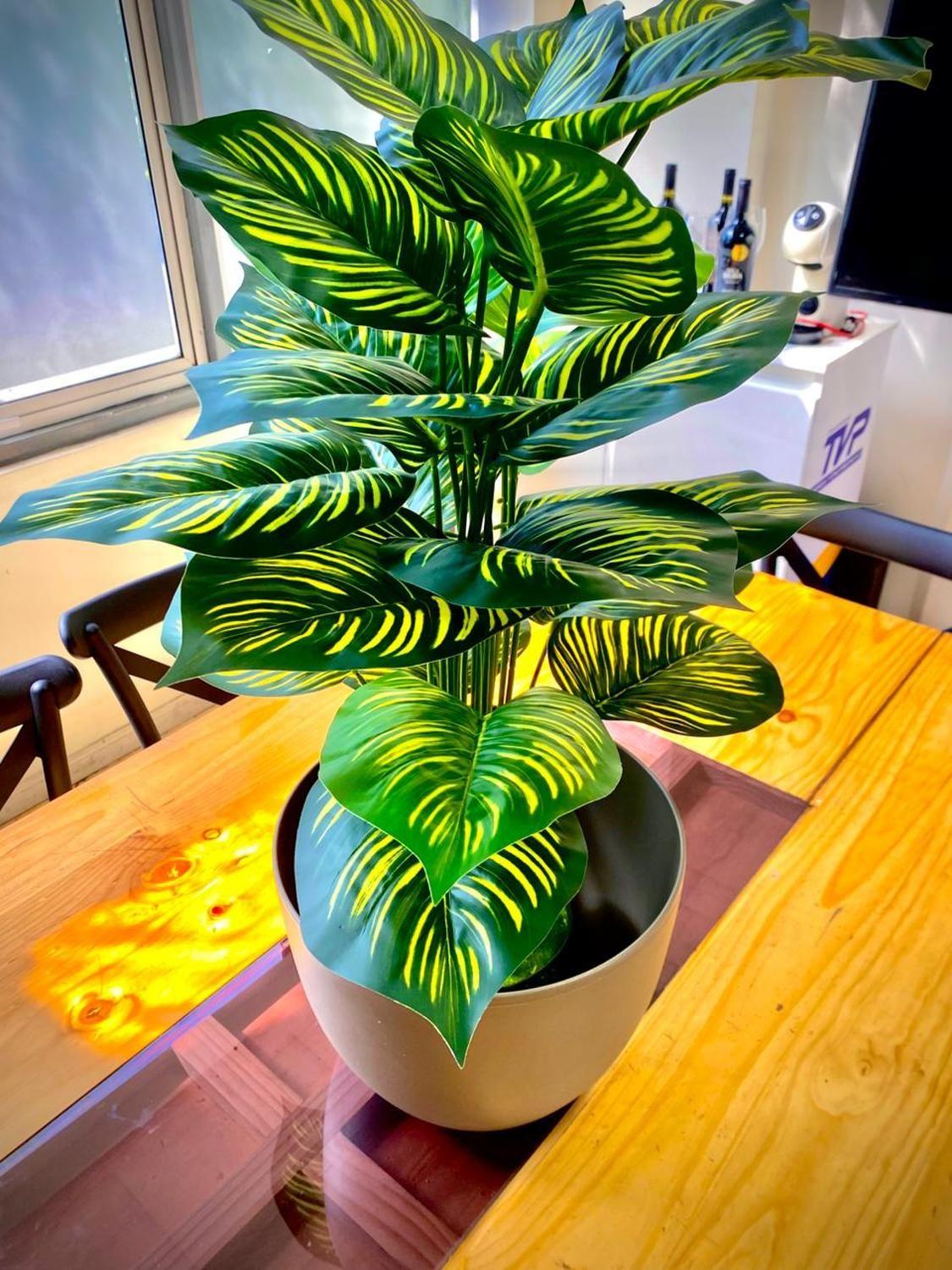 Planta Artificial Interior Verde Decorativa Hojas Ralladas 80 Cm-3