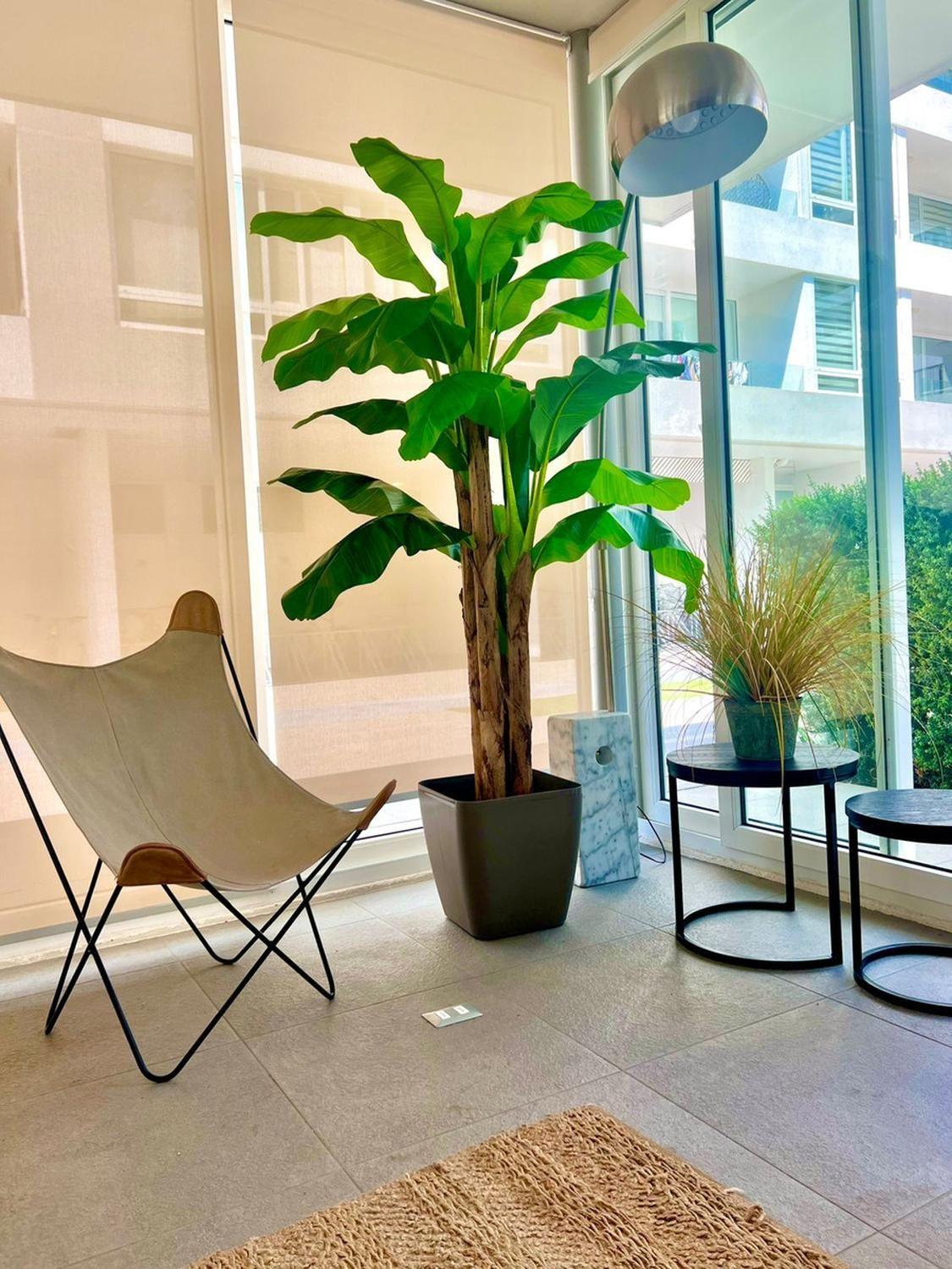 Planta Artificial Banano 230 Cm. Premium / Arbusto Real Verde-5