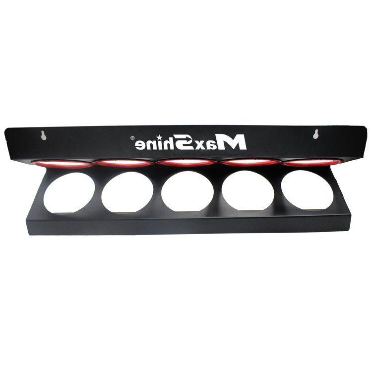 Soporte para Botellas y Compuestos de Pulido Maxshine-3