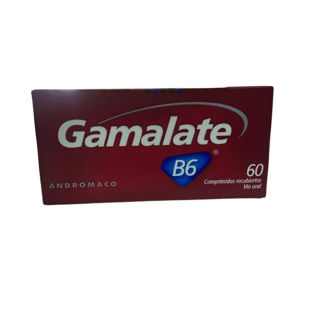 GAMALATE B6 X 60 COMPRIMIDOS-0