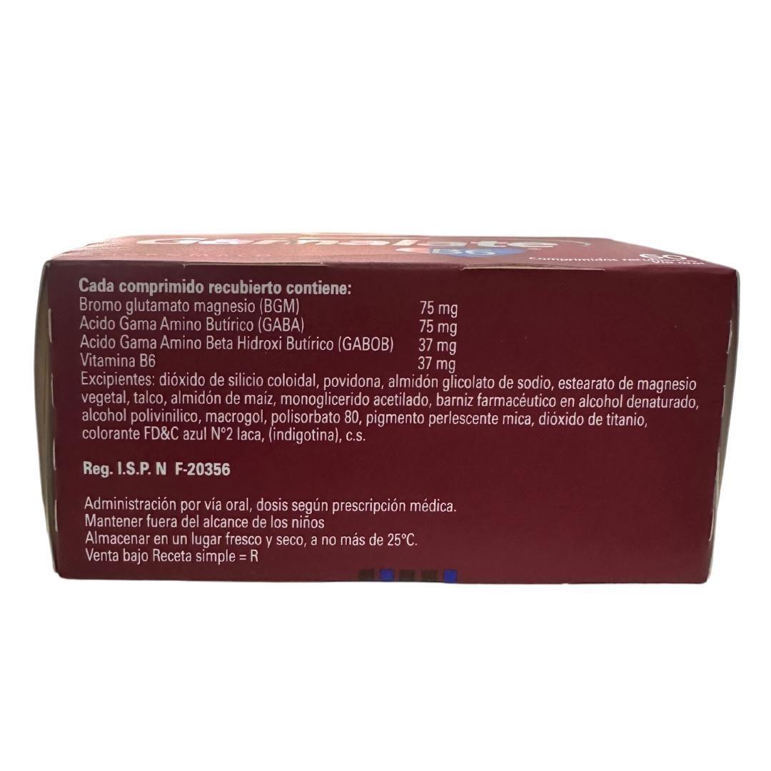 GAMALATE B6 X 60 COMPRIMIDOS-1