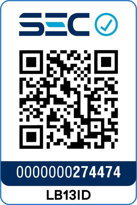 Kit Taladro Percutor con Batería 2A y Cargador-4