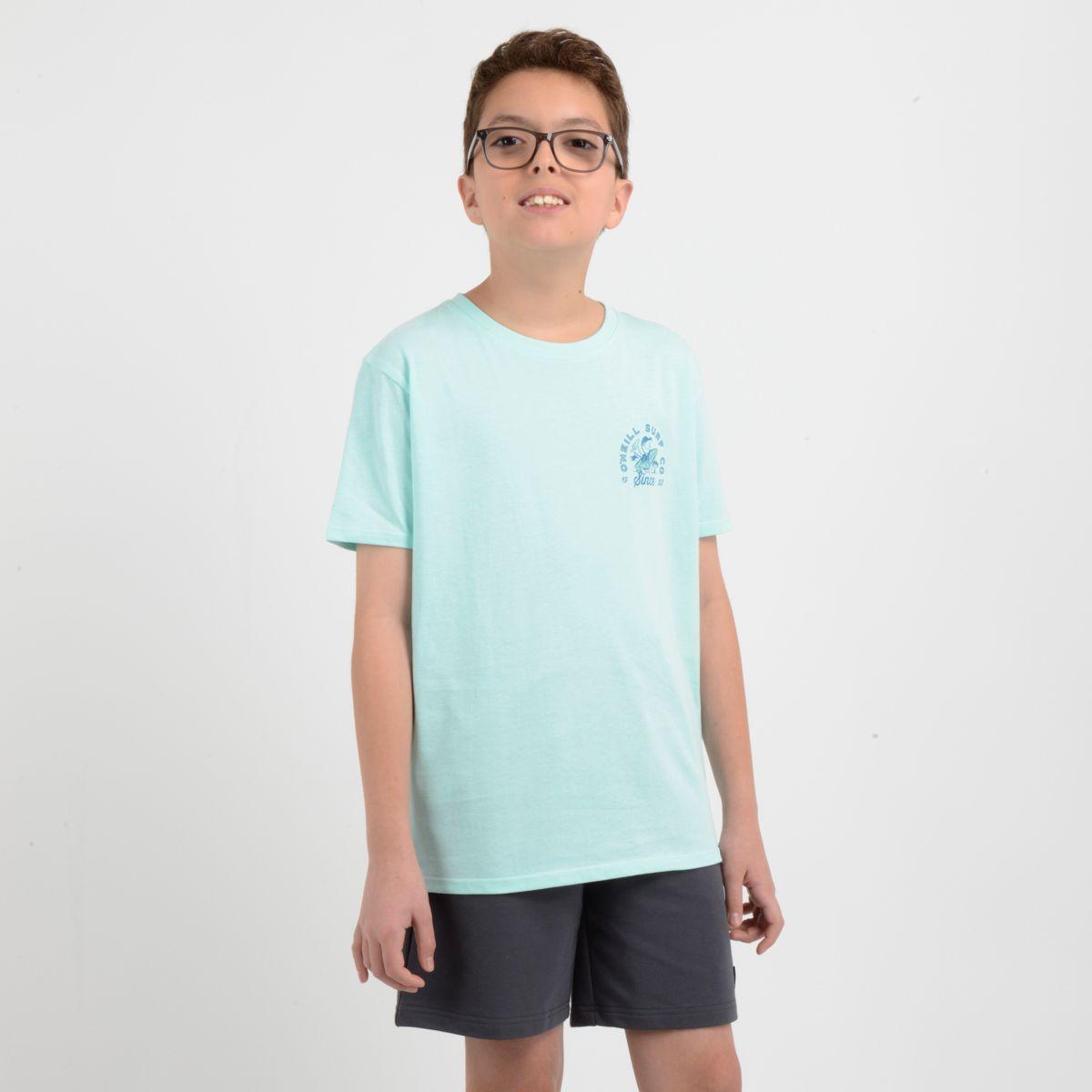 POLERA MANGA CORTA COOPER AZUL CLARO / PASTEL-2