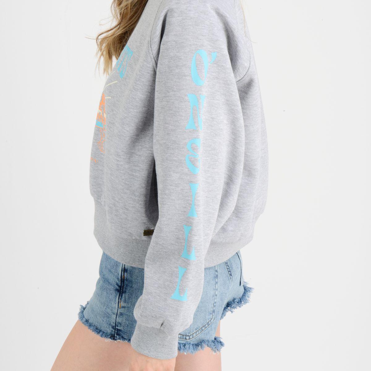 POLERON BEACH VINTAGE GRIS-5