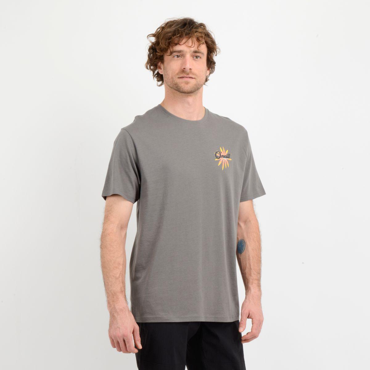 POLERA MANGA CORTA BEACH  GRIS-3