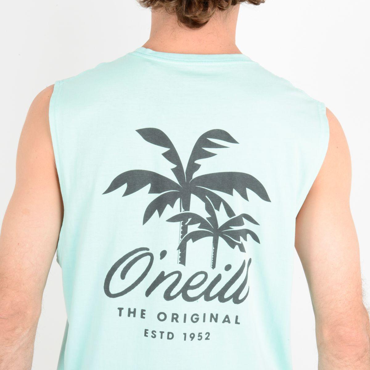 POLERA SIN MANGAS RESORT TANK  AZUL-5