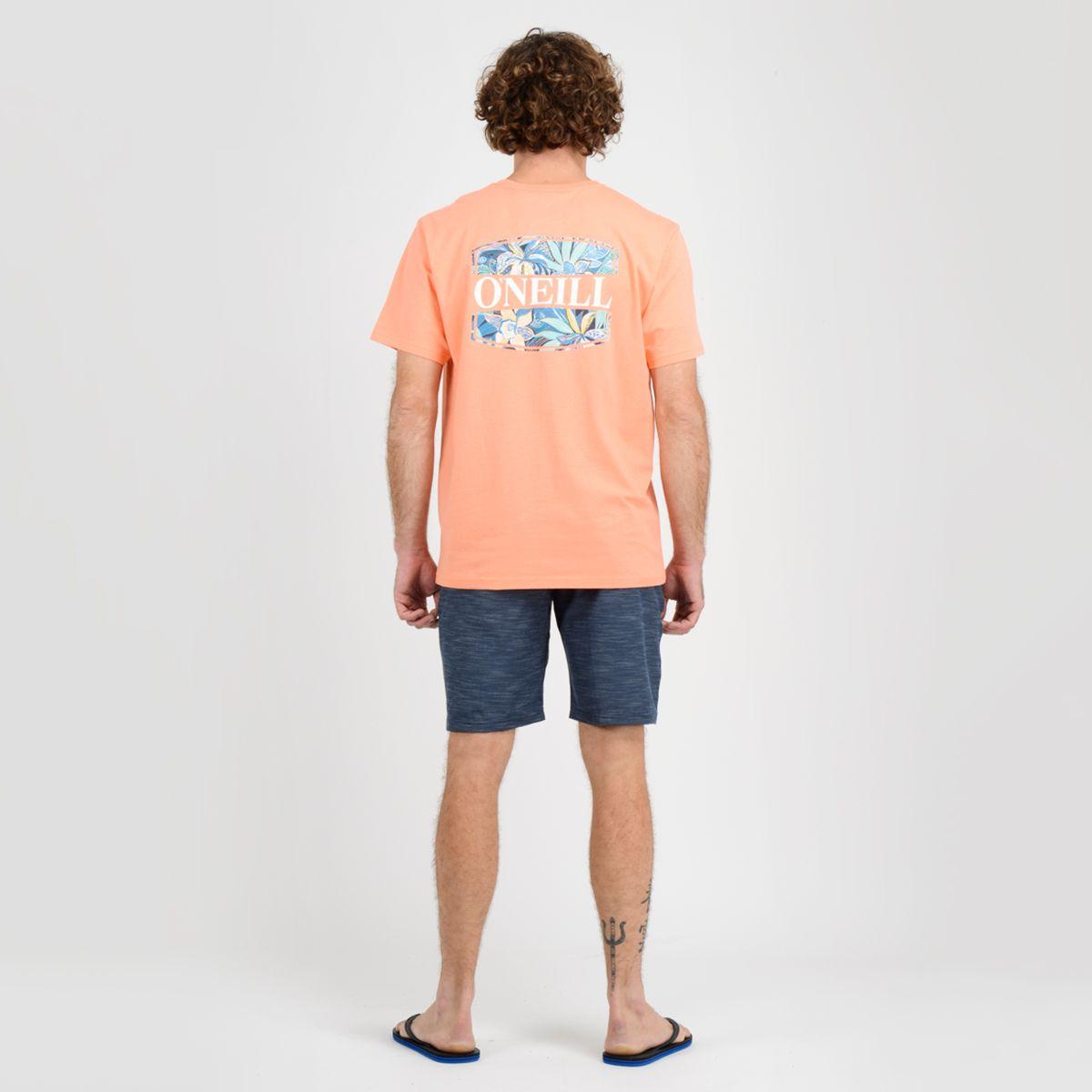 BERMUDA BASICO JERVIS AZUL OSCURO-3