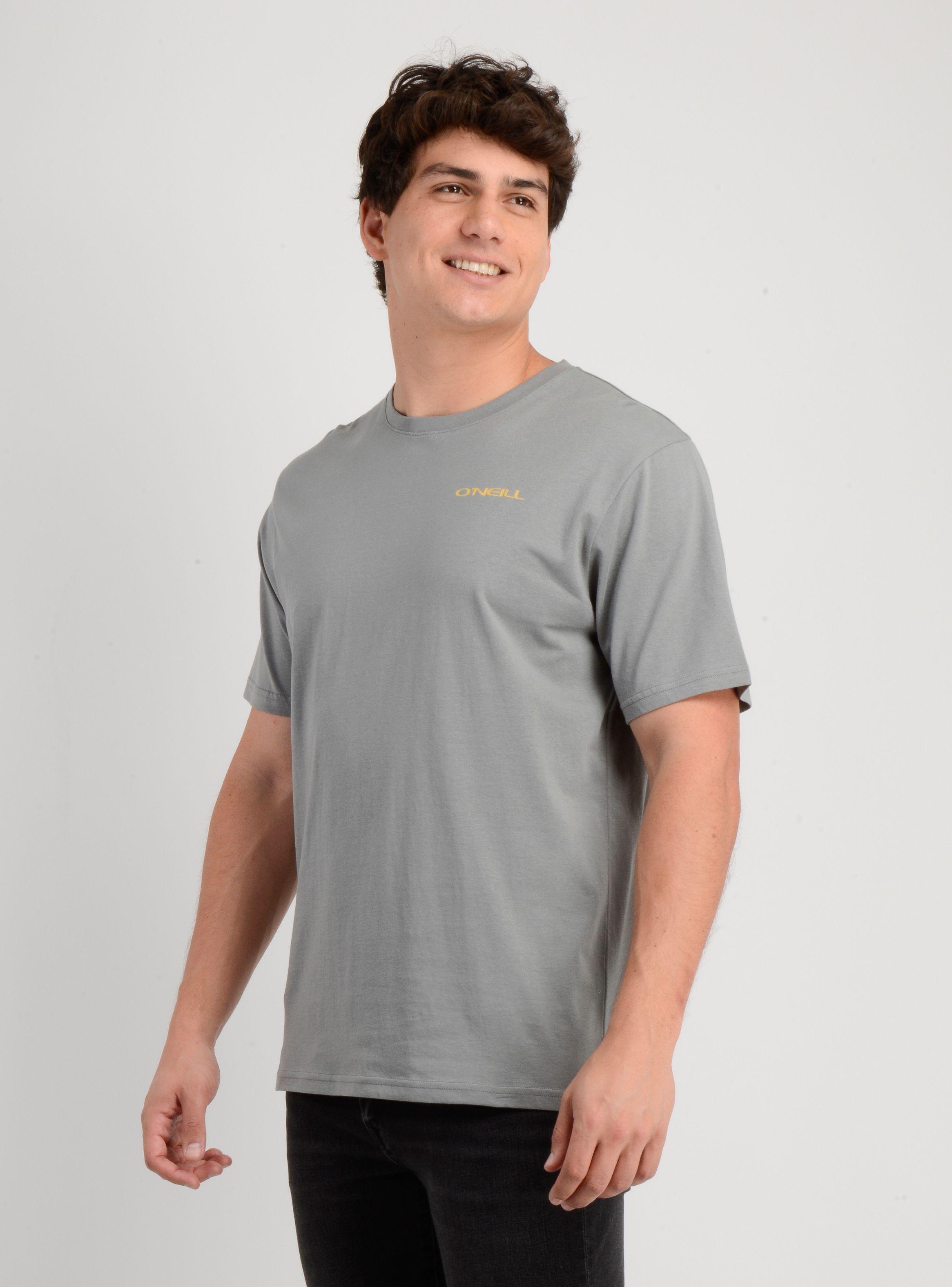 POLERA MANGA CORTA GLASSY DAYS GRIS-2