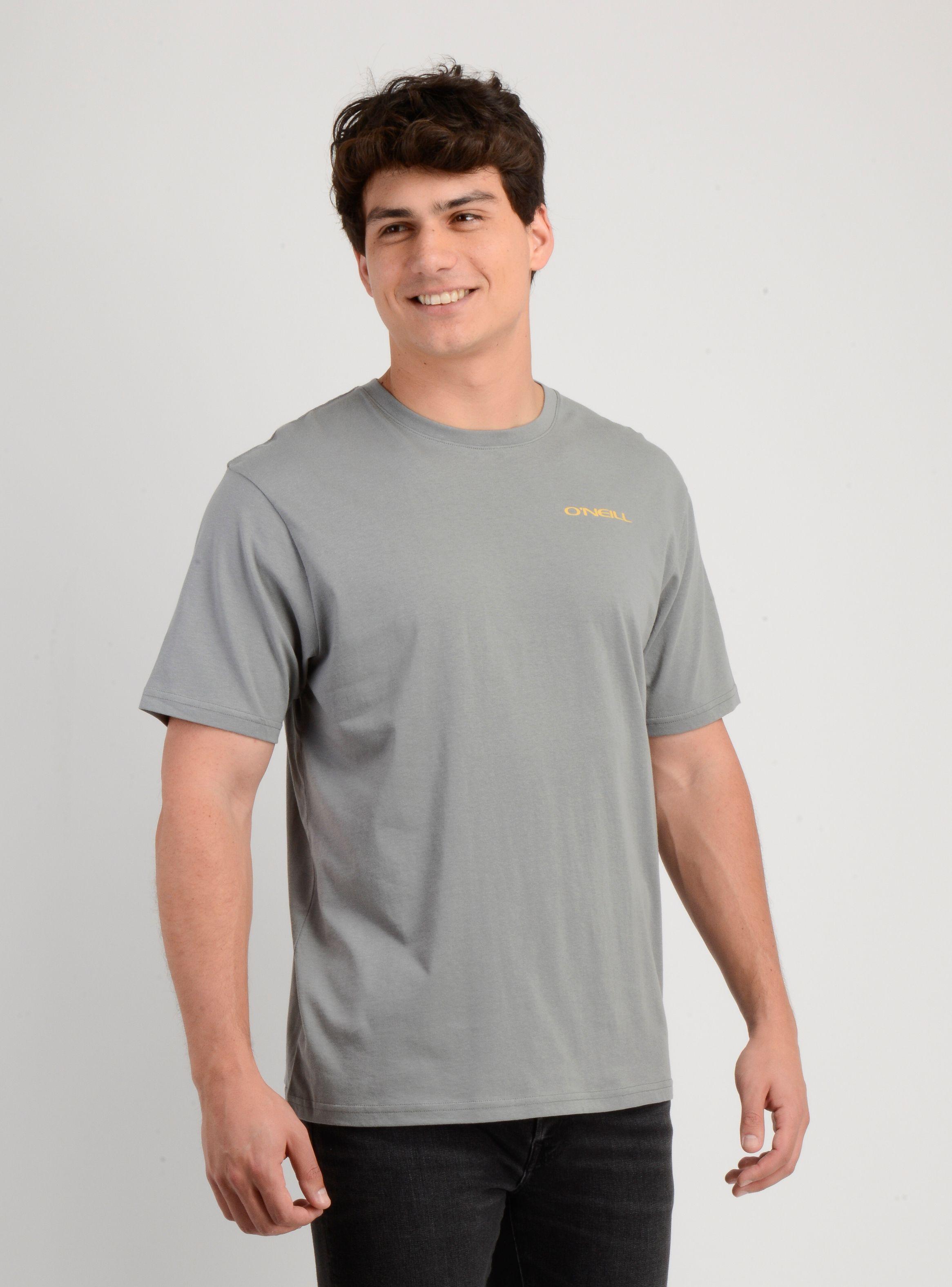 POLERA MANGA CORTA GLASSY DAYS GRIS-3
