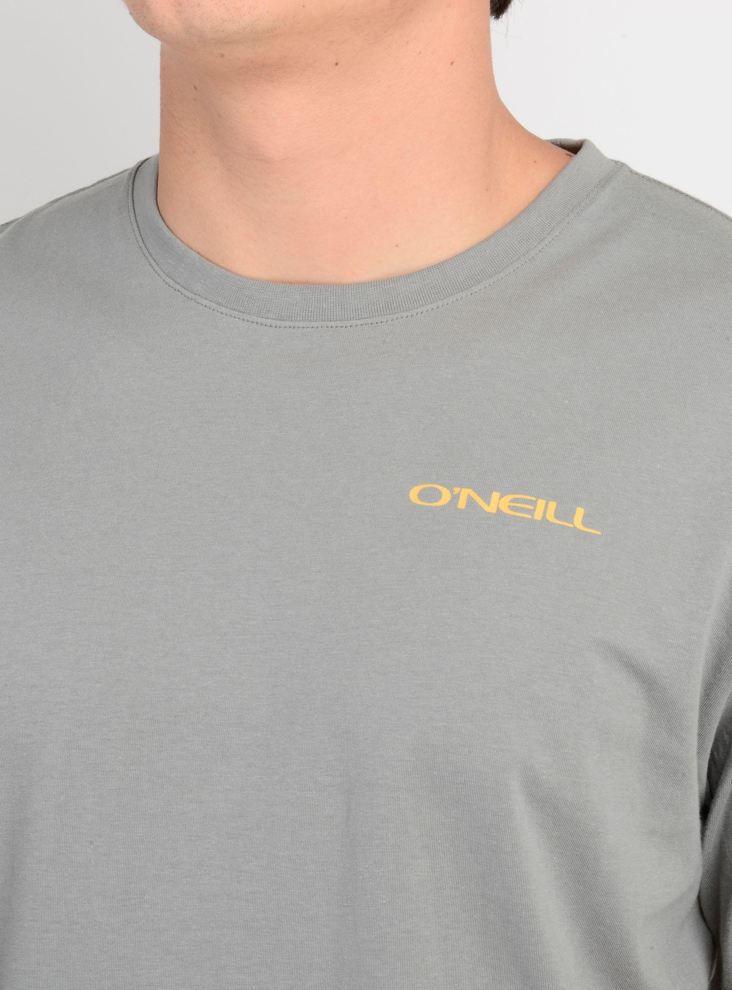 POLERA MANGA CORTA GLASSY DAYS GRIS-4