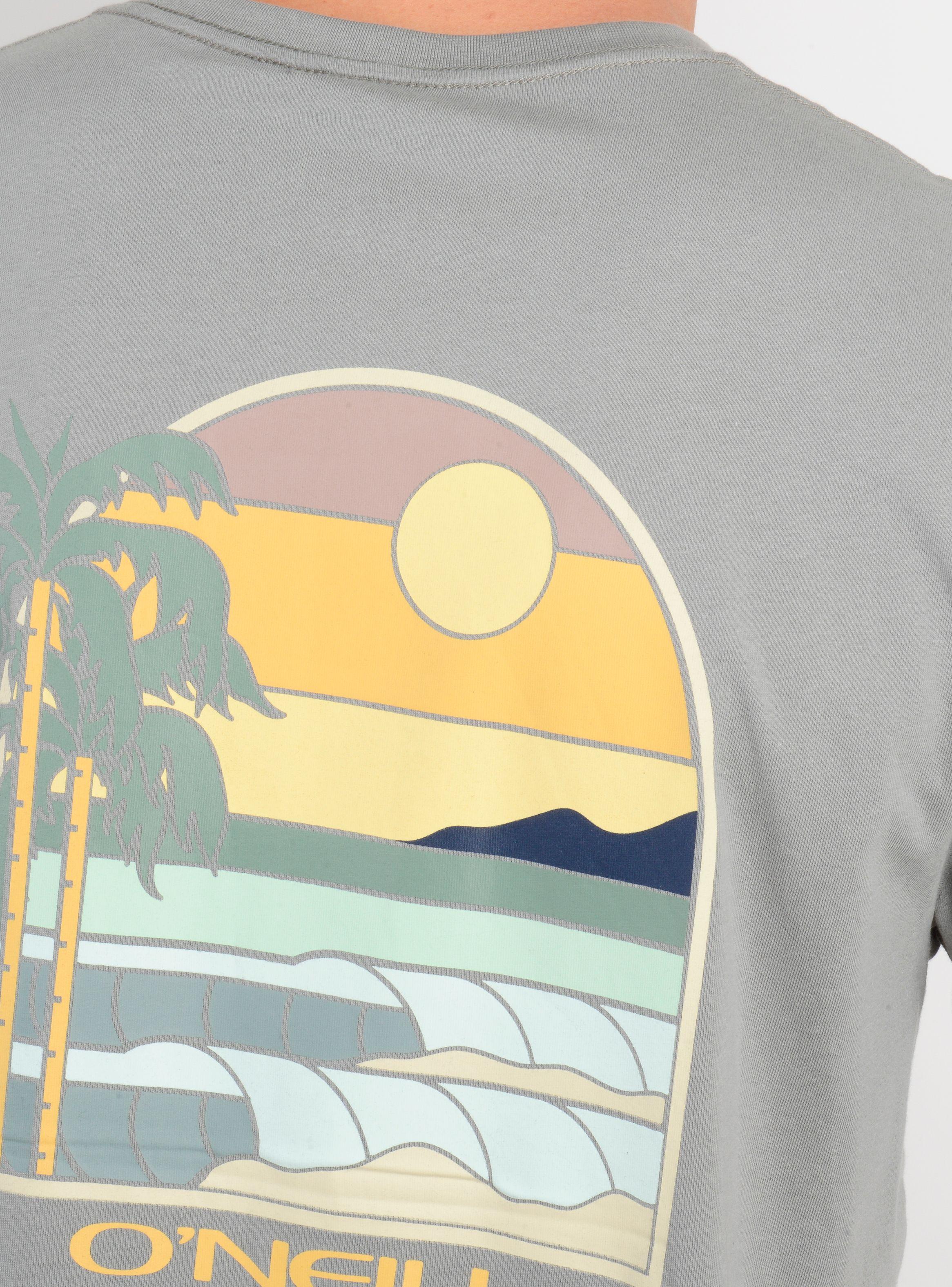 POLERA MANGA CORTA GLASSY DAYS GRIS-5