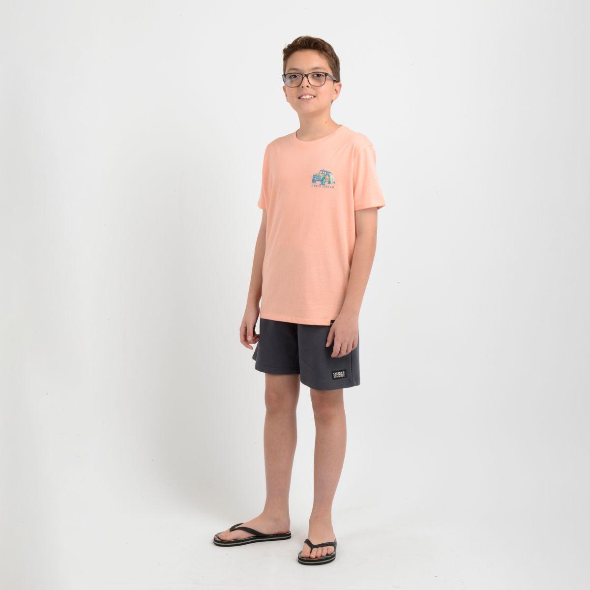 POLERA MANGA CORTA FREE WHEELIN NARANJO CLARO / PASTEL-1