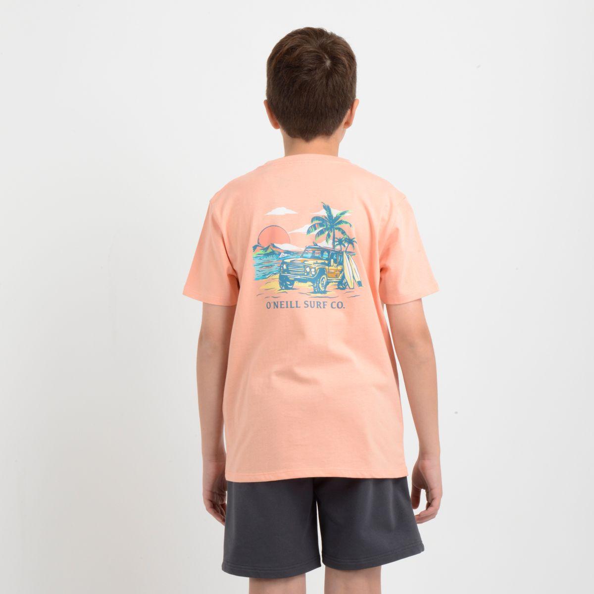 POLERA MANGA CORTA FREE WHEELIN NARANJO CLARO / PASTEL-3