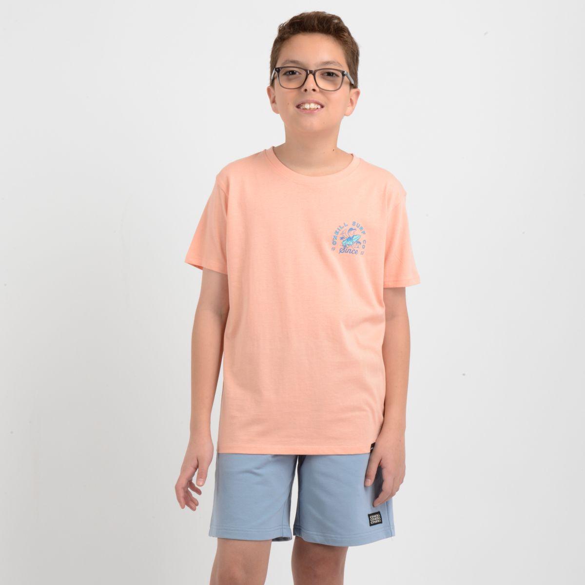 POLERA MANGA CORTA COOPER NARANJO CLARO / PASTEL-0
