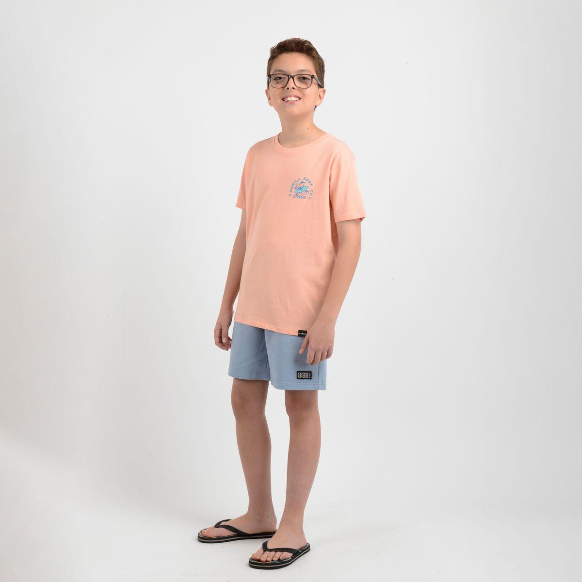 POLERA MANGA CORTA COOPER NARANJO CLARO / PASTEL-1