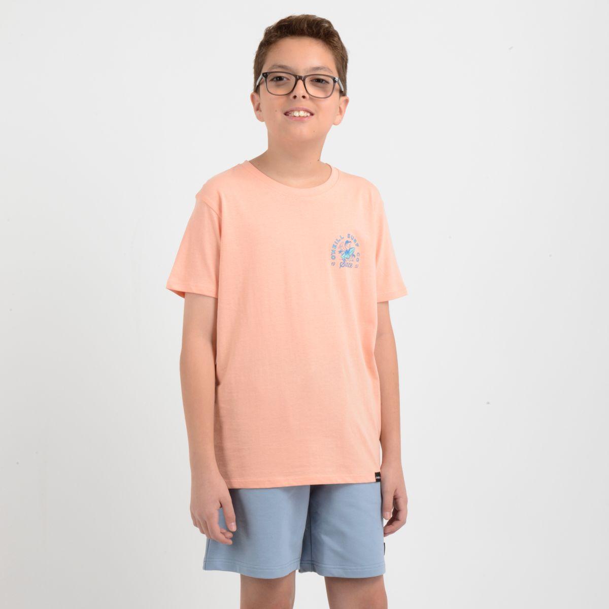 POLERA MANGA CORTA COOPER NARANJO CLARO / PASTEL-2