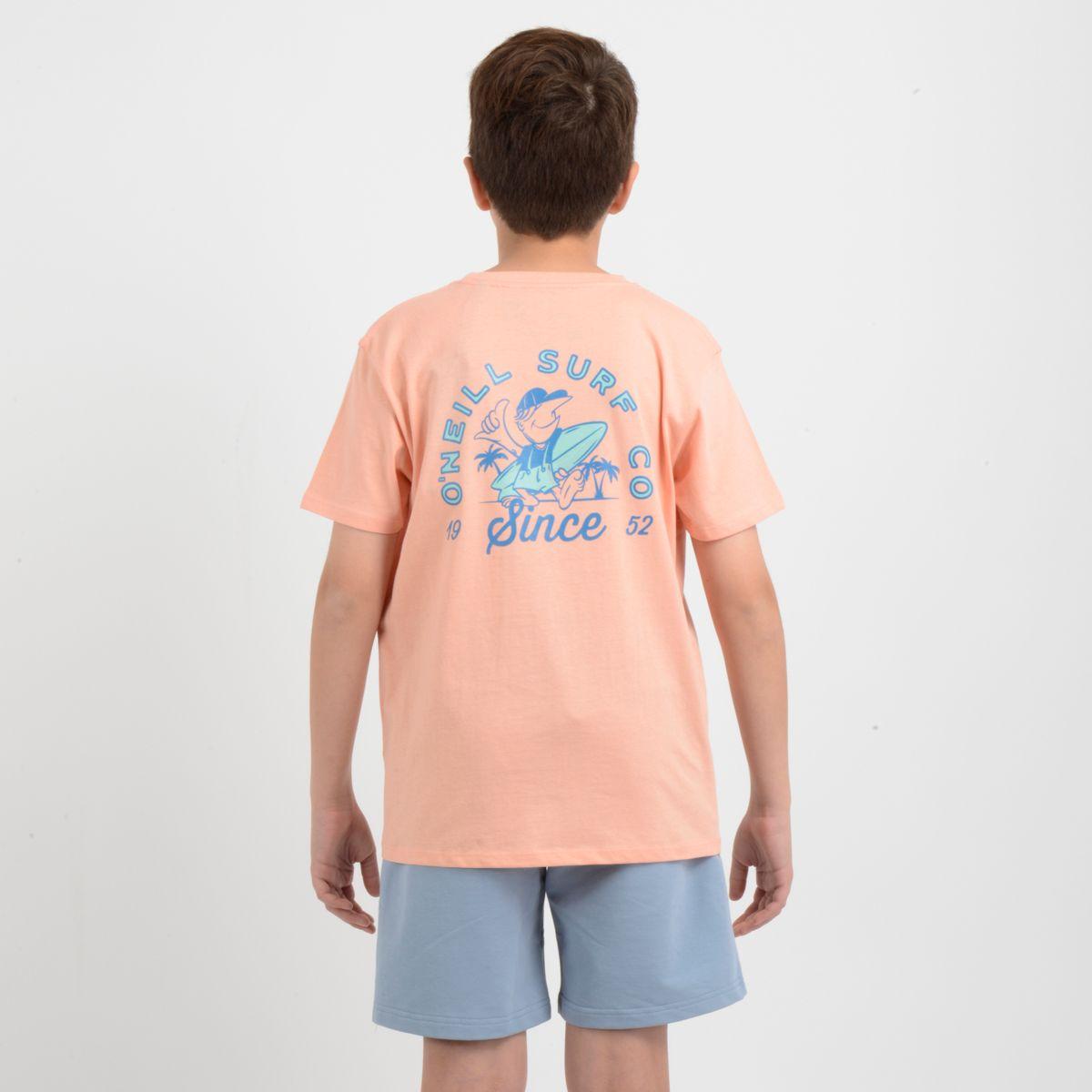 POLERA MANGA CORTA COOPER NARANJO CLARO / PASTEL-3