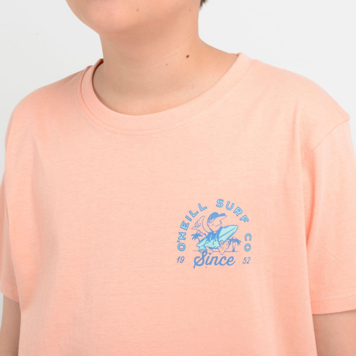 POLERA MANGA CORTA COOPER NARANJO CLARO / PASTEL-4