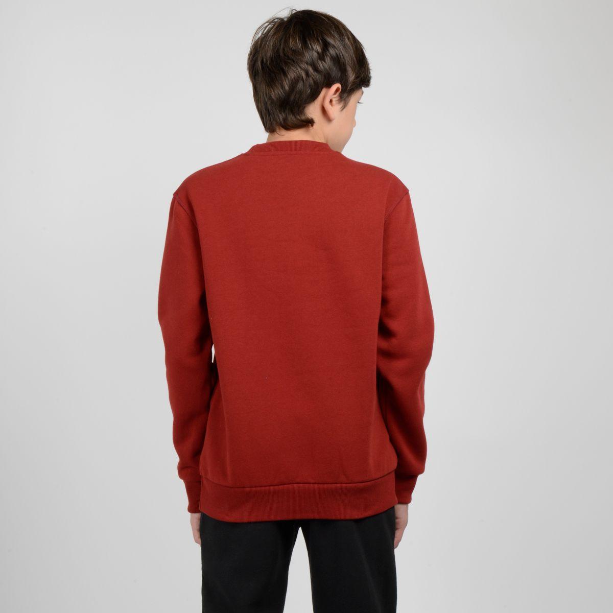 POLERON CUELLO REDONDO - I23NO074001 ROJO OSCURO-2