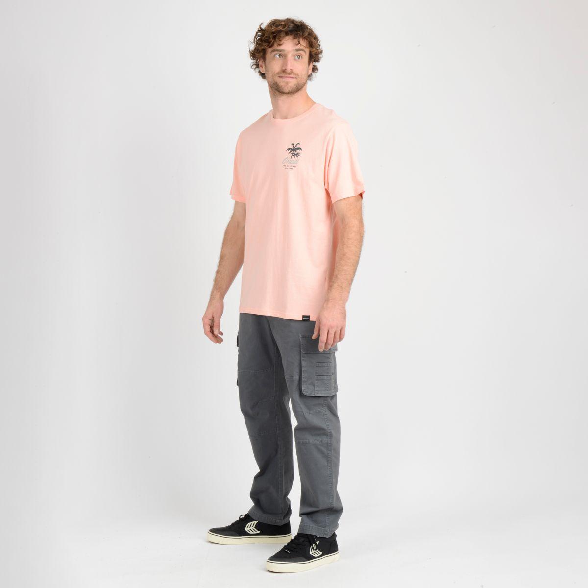 PANTALON CARGO BREXTON GRIS OSCURO-3