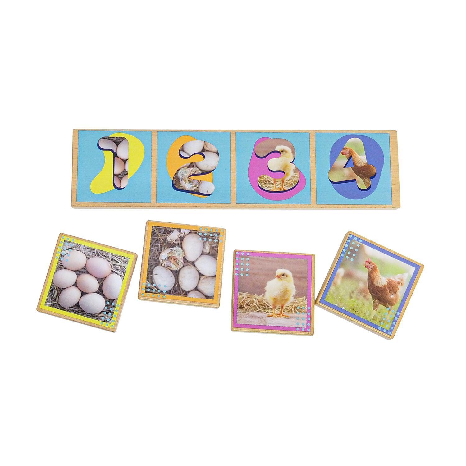 Secuencias De Los Ciclos De Vida 20 Pza Juego Didáctico -6