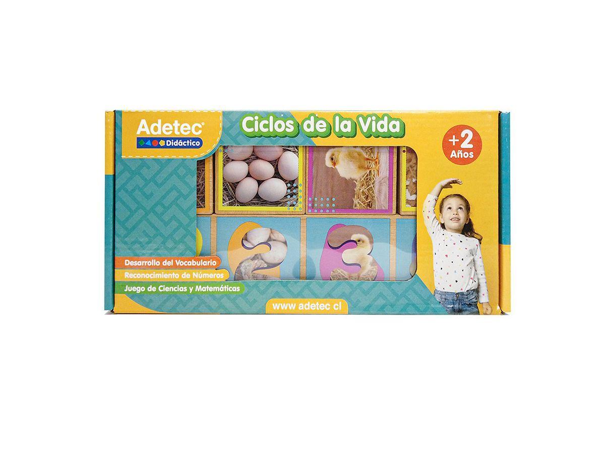 Secuencias De Los Ciclos De Vida 20 Pza Juego Didáctico -0
