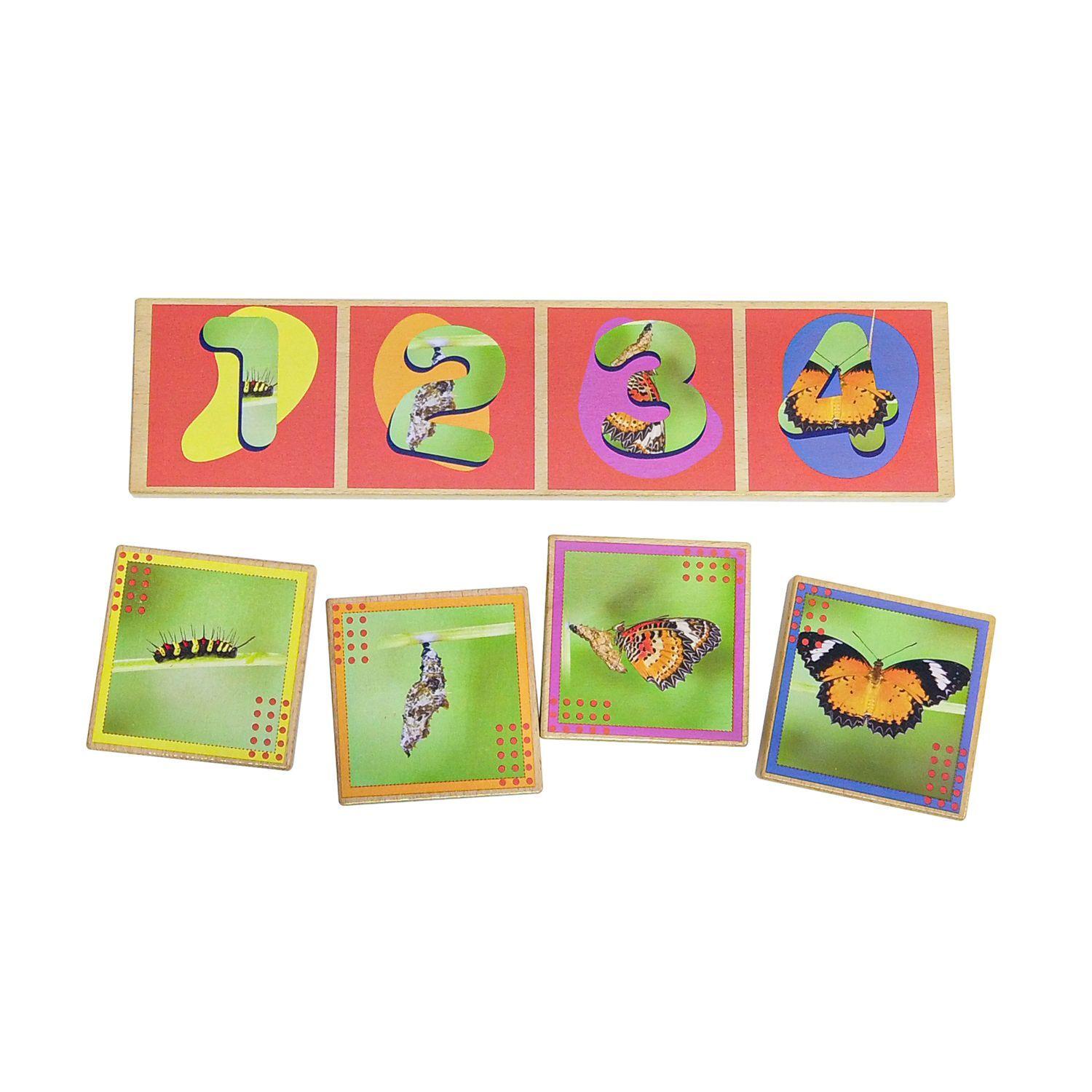 Secuencias De Los Ciclos De Vida 20 Pza Juego Didáctico -3