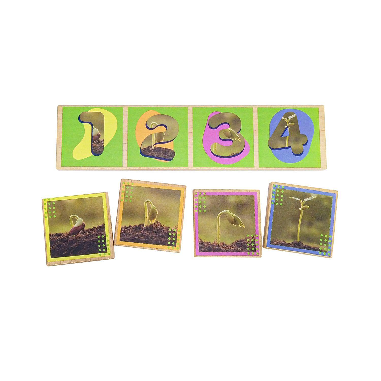 Secuencias De Los Ciclos De Vida 20 Pza Juego Didáctico -5