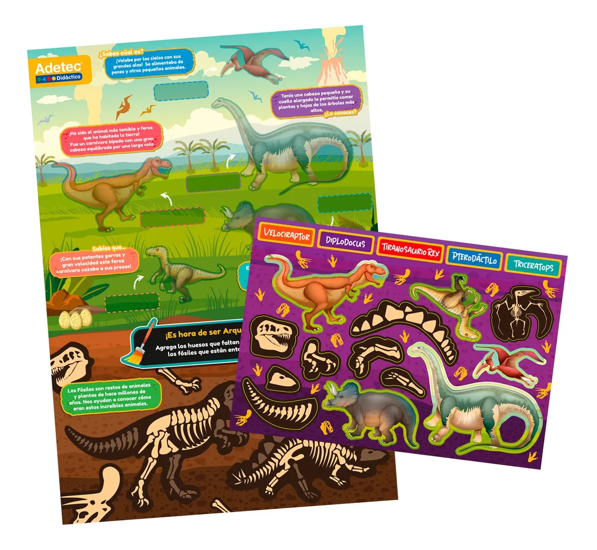 Laminas Magneticas Dinosaurios Adetec-1