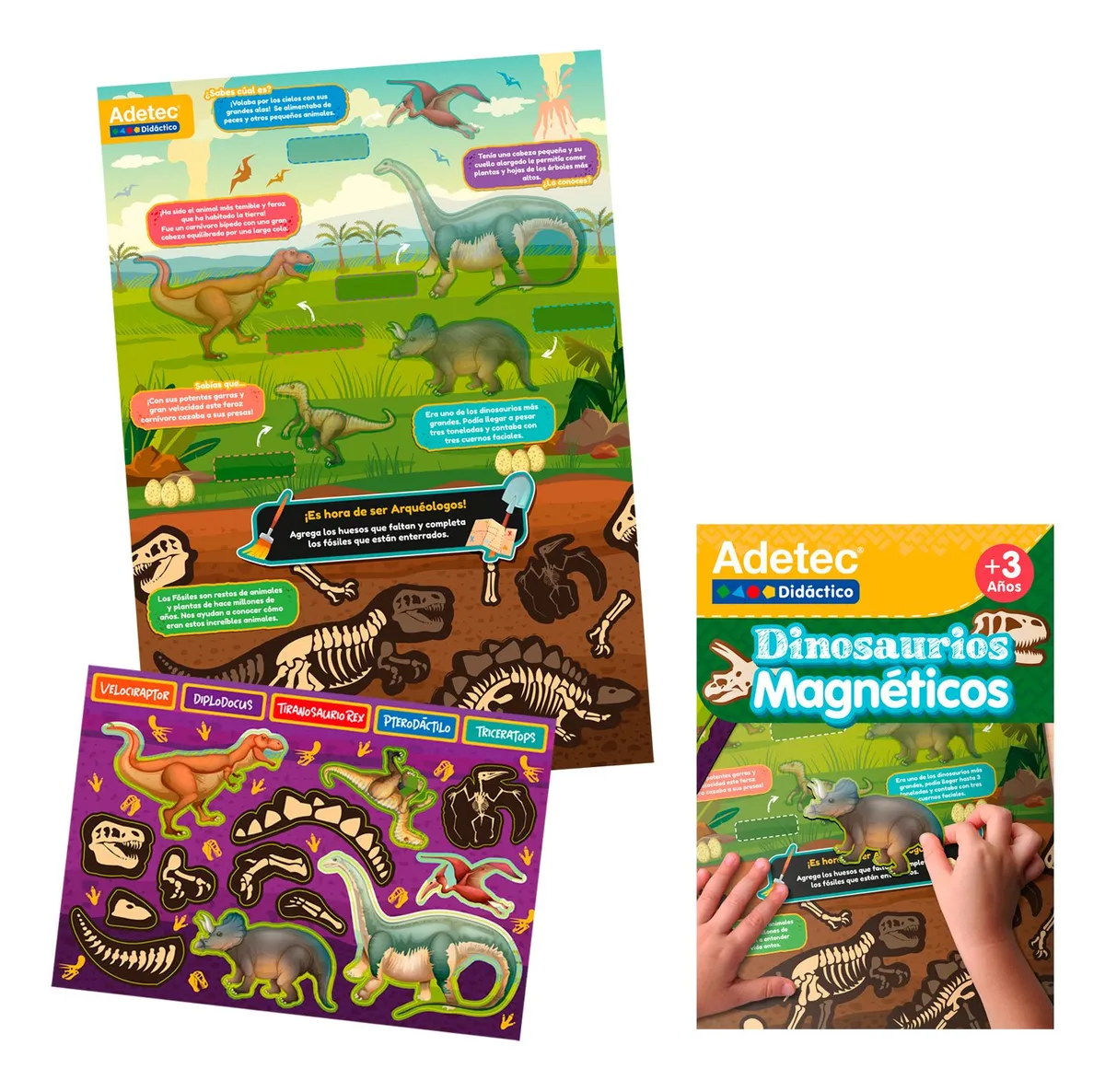 Laminas Magneticas Dinosaurios Adetec-2
