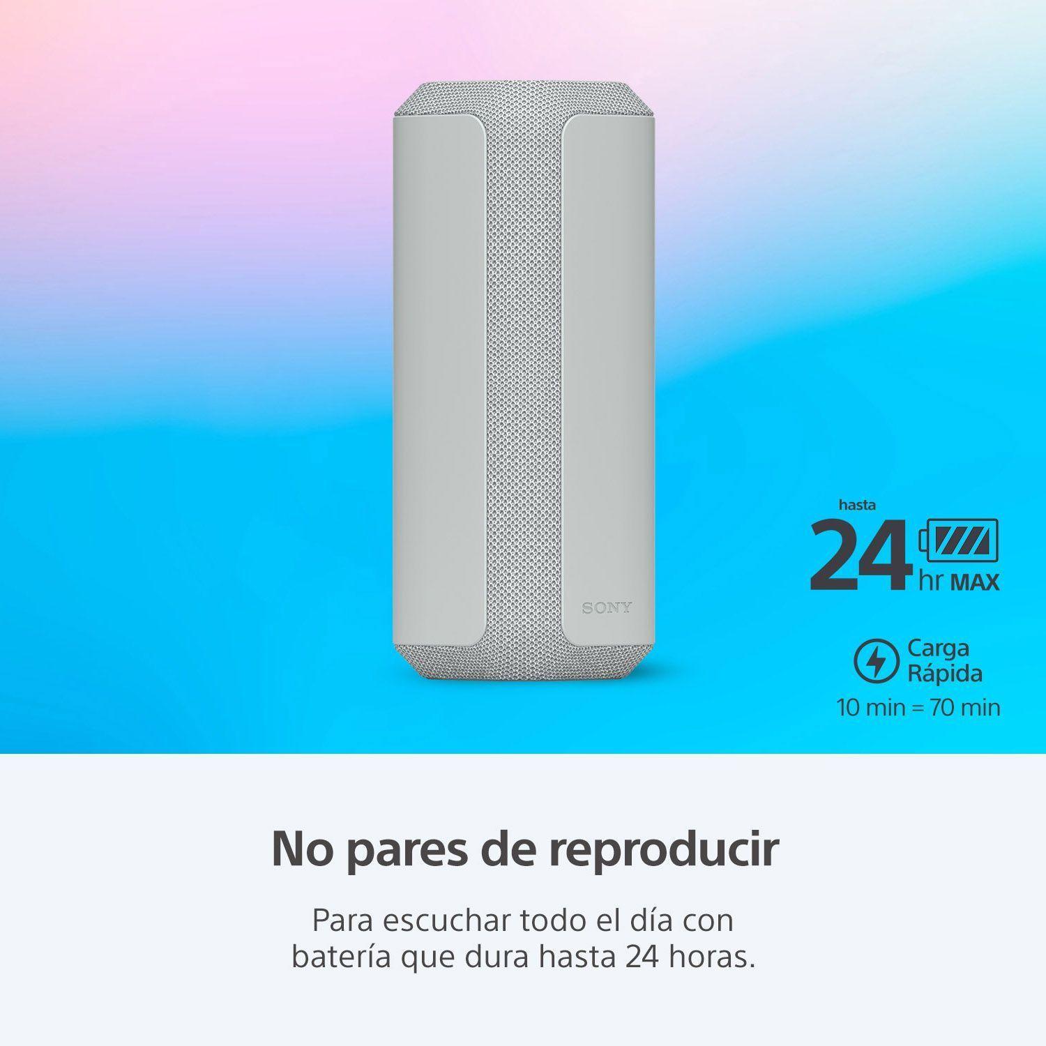 Parlante inalámbrico portátil XE300 de la serie X Gris-2