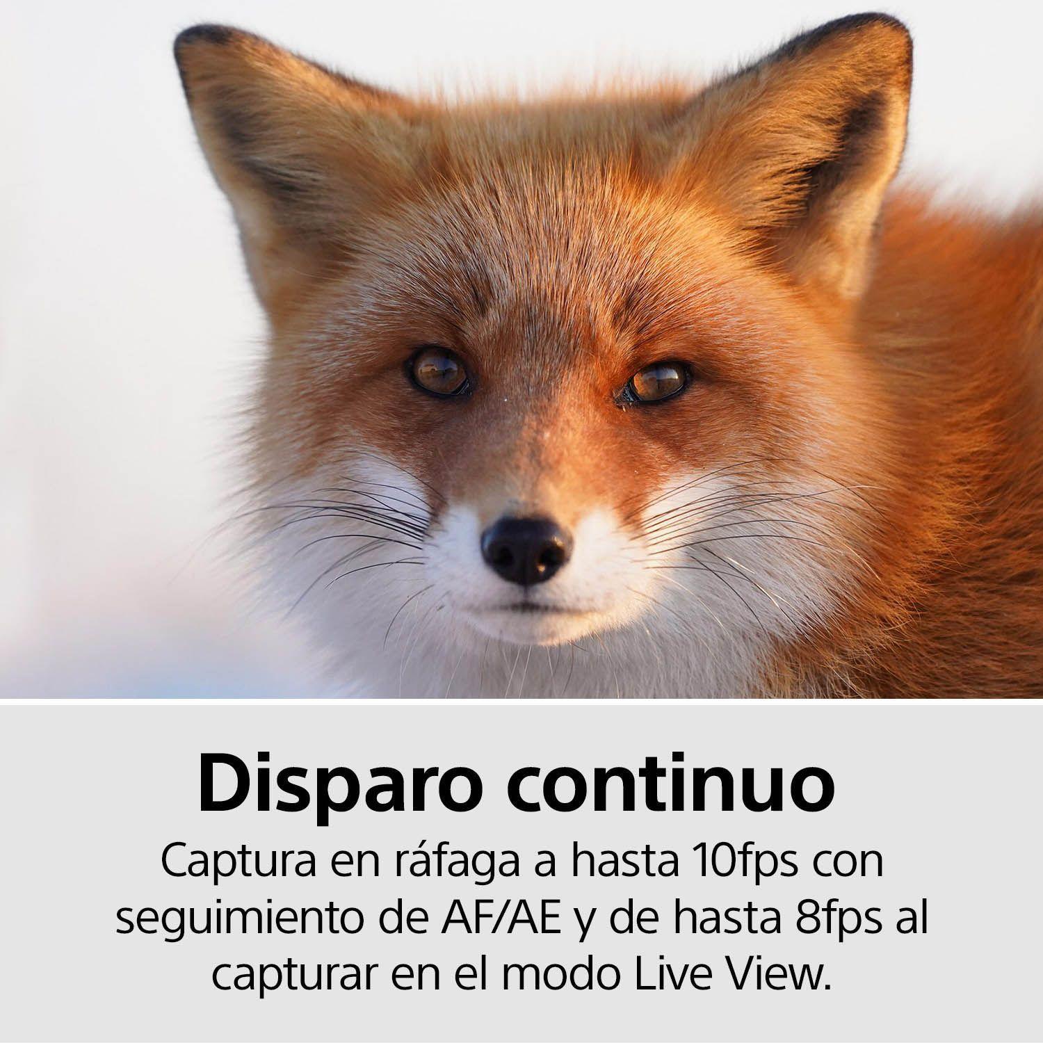 Cámara Profesional Mirrorless ILCE-7M3K-4