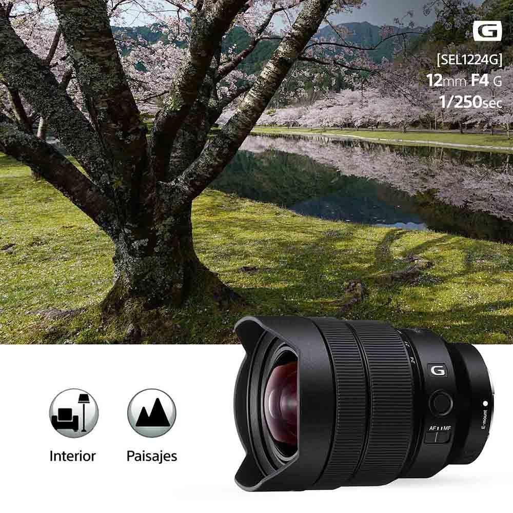 Lente FE 12-24mm F4 G-5