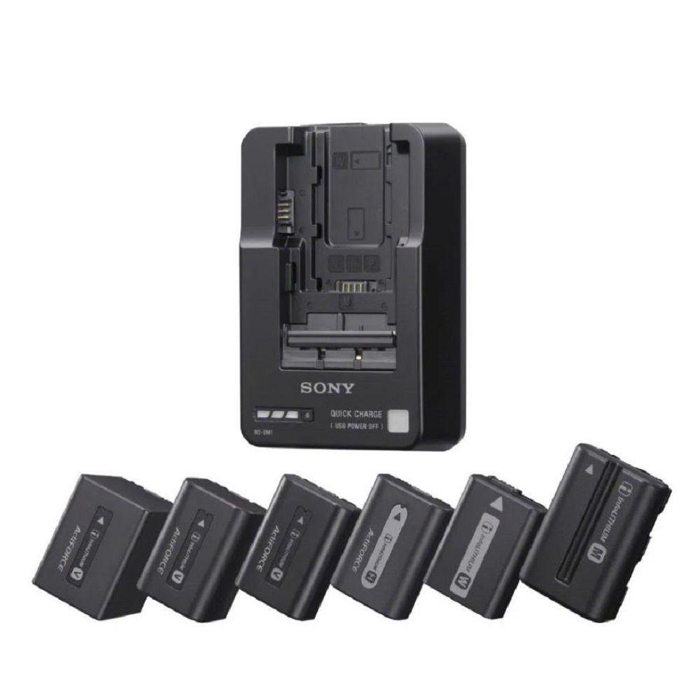 Cargador de batería BC-QM1-2