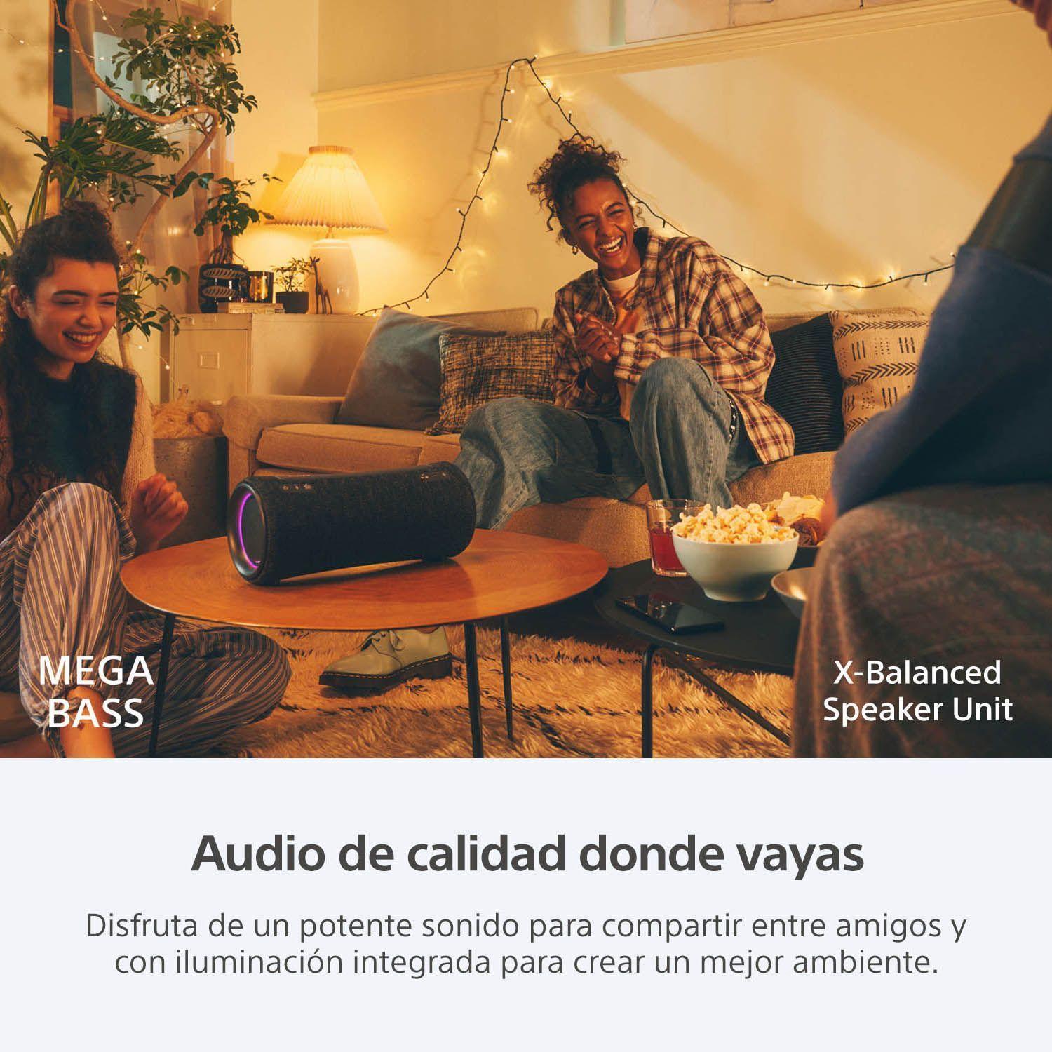 Parlante inalámbrico portátil XG300 de la serie X Negro-1