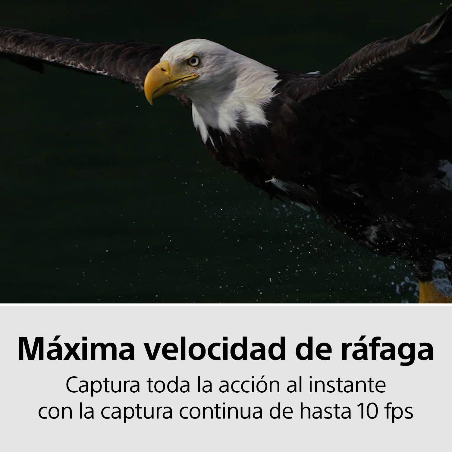 Alpha 7R III con sensor de imagen full-frame de 35 mm ILCE-7RM3A-4