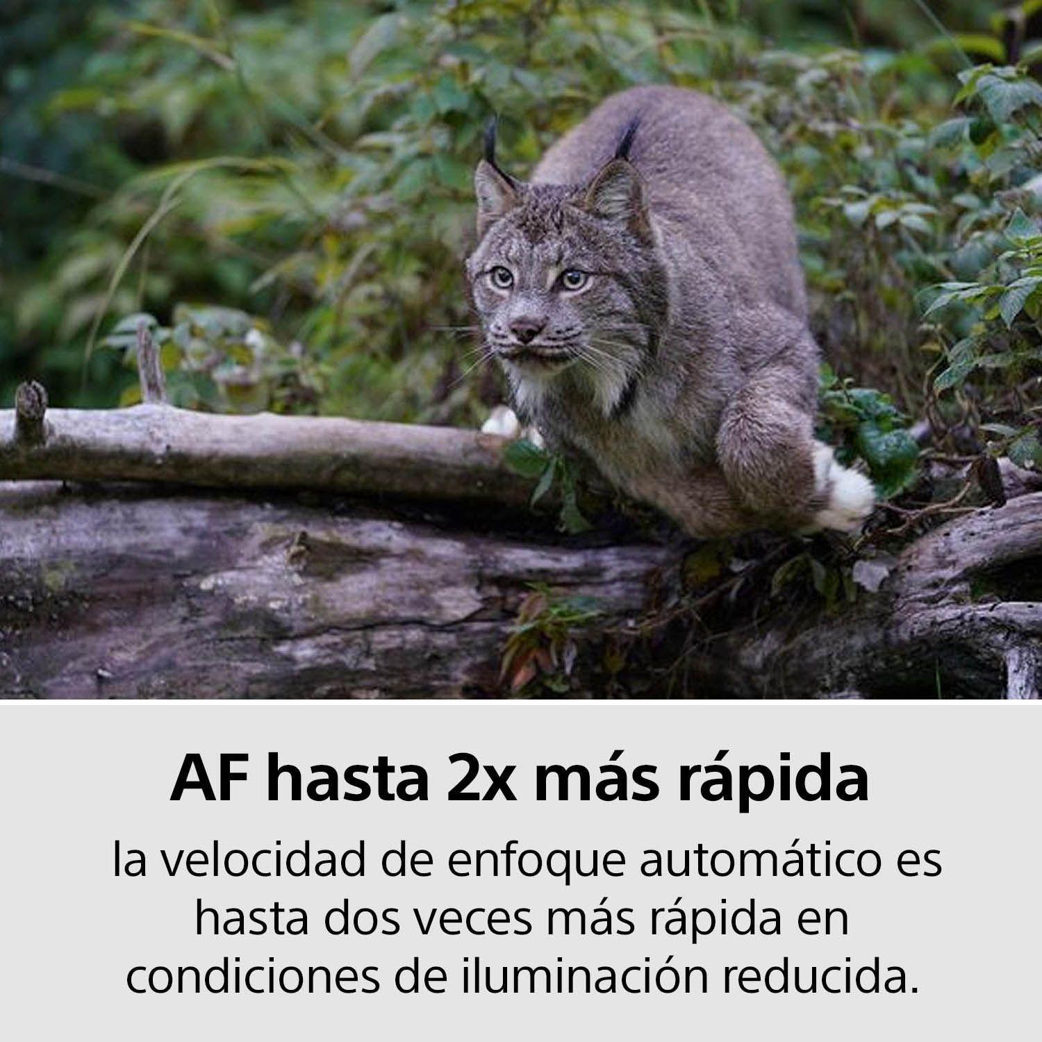 Alpha 7R III con sensor de imagen full-frame de 35 mm ILCE-7RM3A-7