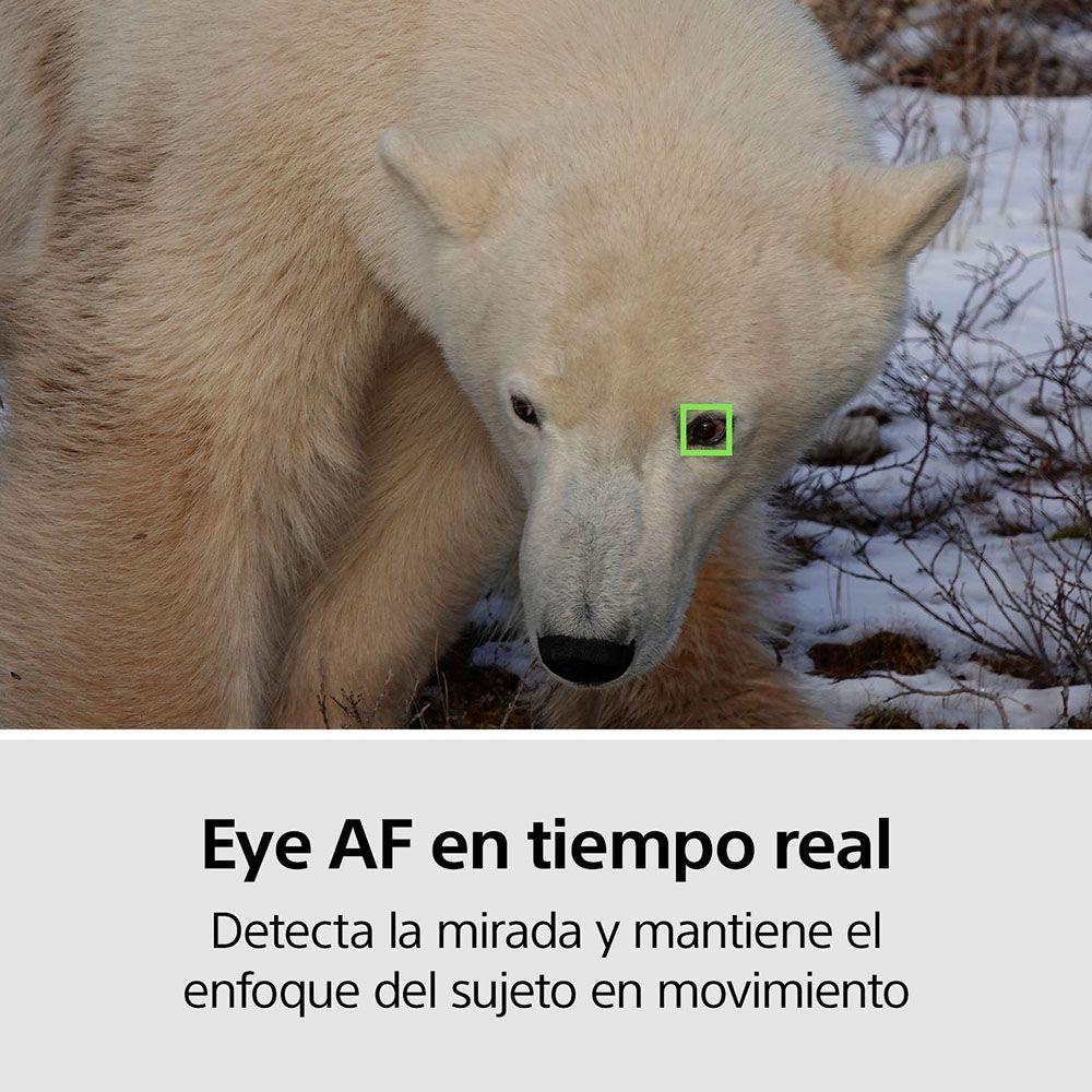 Cámara RX10 IV con zoom óptico de 25x-3